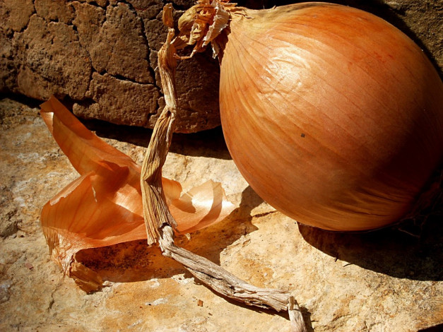 Обои картинки фото еда, лук