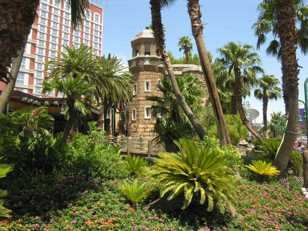 Обои картинки фото города