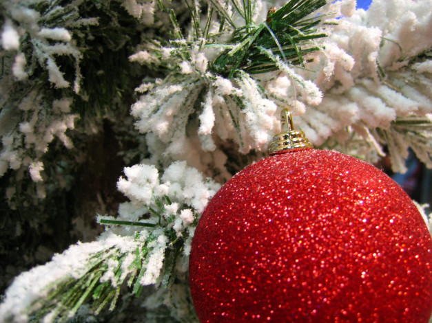 Обои картинки фото праздничные