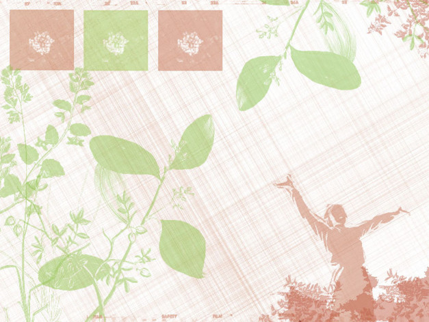 Обои картинки фото векторная, графика