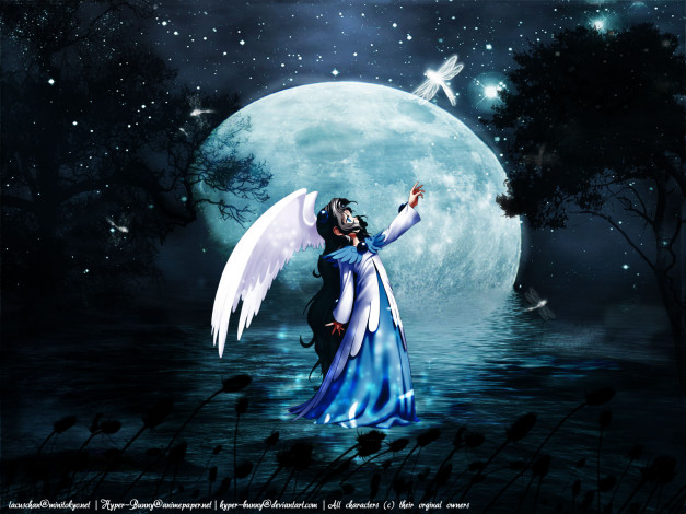 Обои картинки фото аниме, card, captor, sakura