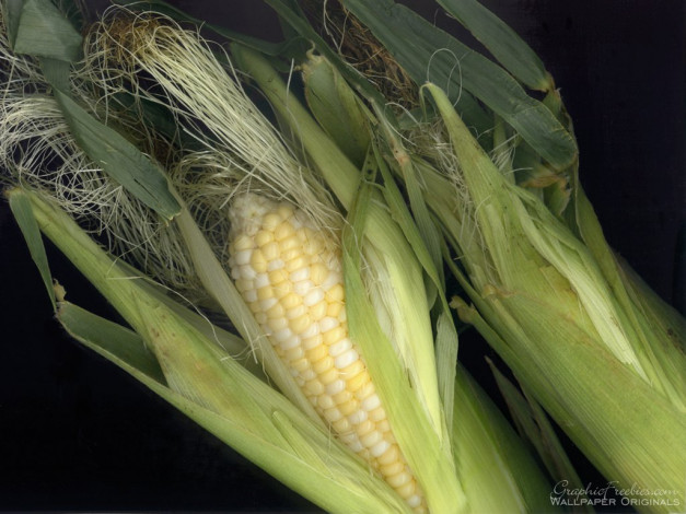 Обои картинки фото еда, кукуруза