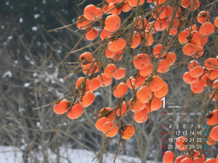 Картинка календари природа