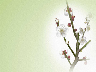 Картинка рисованные цветы