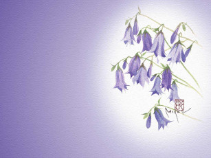 Картинка рисованные цветы