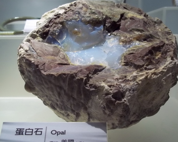 Обои картинки фото 