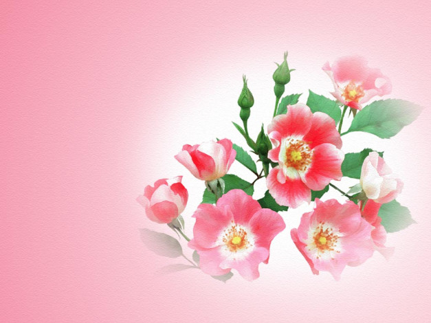 Обои картинки фото рисованные, цветы