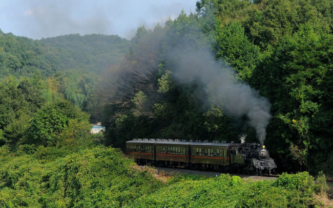 Обои картинки фото техника