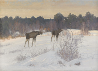 Картинка рисованные carl brandt лось