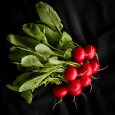 Картинка еда редис +репа +редька редиска пучок