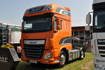 обоя daf, автомобили, trucks, nv, седельные, тягачи, шасси, автобусы, нидерланды