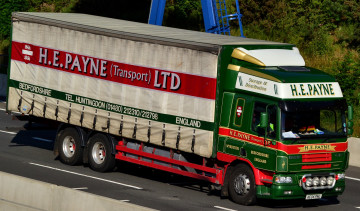 обоя daf, автомобили, trucks, nv, седельные, тягачи, шасси, автобусы, нидерланды