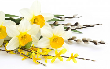 Картинка цветы разные+вместе верба нарциссы