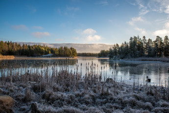 Картинка природа реки озера утро