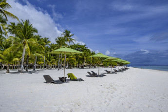 Картинка природа тропики пляж