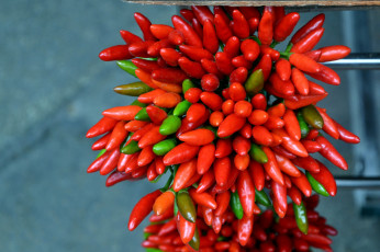 Картинка еда перец перчики