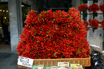 Картинка еда перец урожай