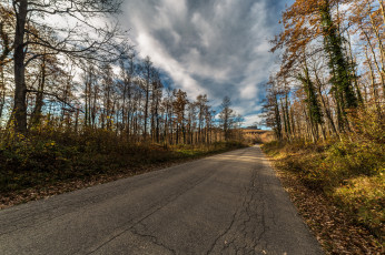 Картинка природа дороги шоссе лес