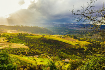 Картинка природа пейзажи равнина