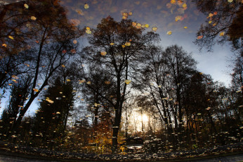 Картинка природа вода отражение река