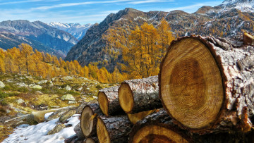 Картинка природа горы лес осень скалы