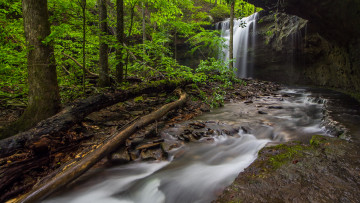 Картинка природа водопады водопад лес река