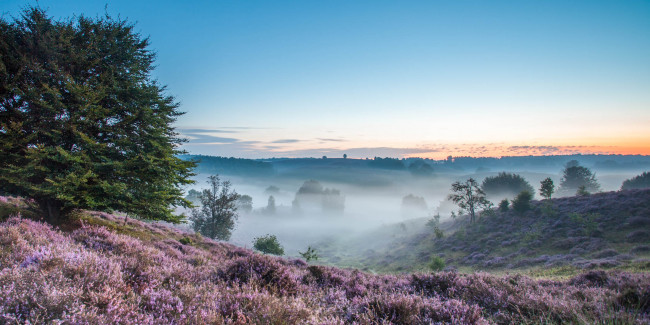 Обои картинки фото природа, пейзажи, туман