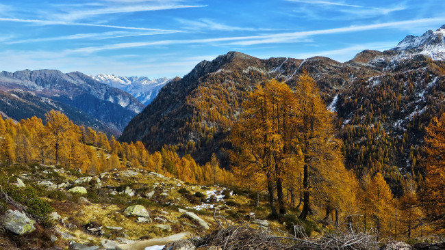 Обои картинки фото природа, горы, скалы, лес