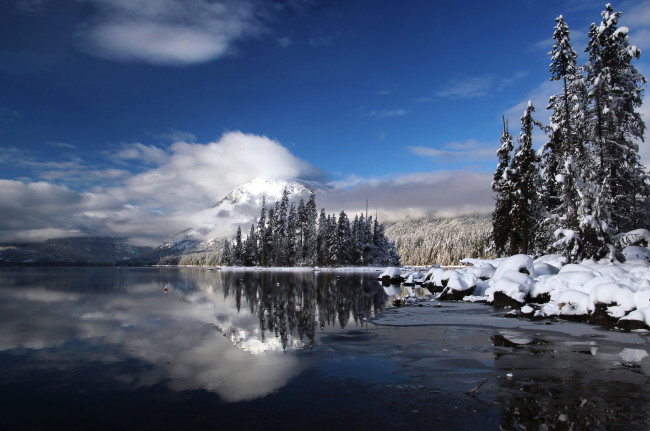 Обои картинки фото природа, реки, озера, река, лес