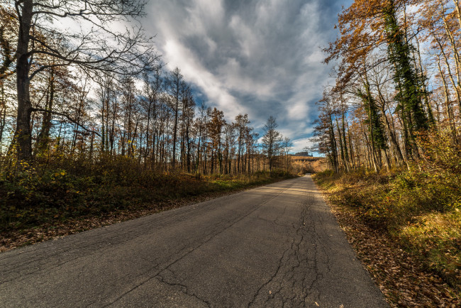 Обои картинки фото природа, дороги, шоссе, лес