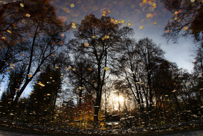 Обои картинки фото природа, вода, отражение, река