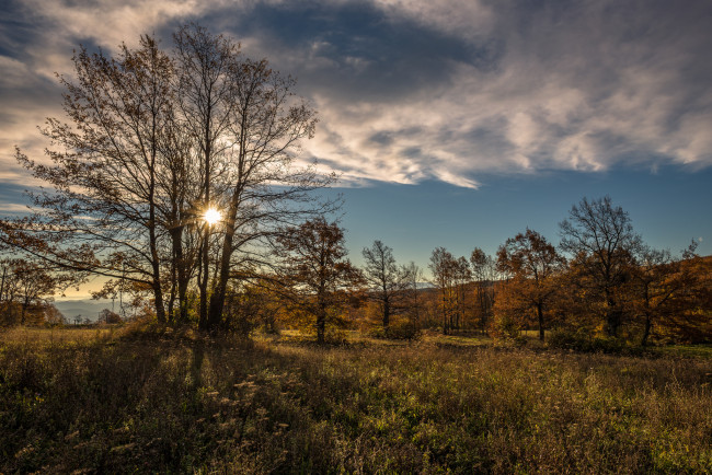 Обои картинки фото природа, восходы, закаты, рассвет