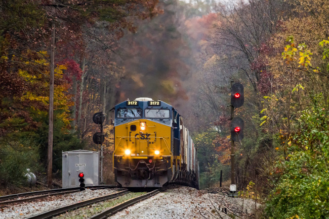 Обои картинки фото техника, поезда, рельсы, состав, дорога, железная, локомотив