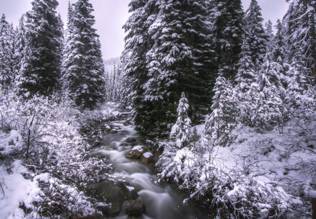 Обои картинки фото природа, зима, река, лес