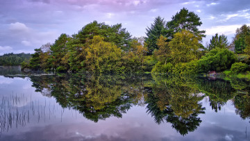 Картинка природа реки озера река лес