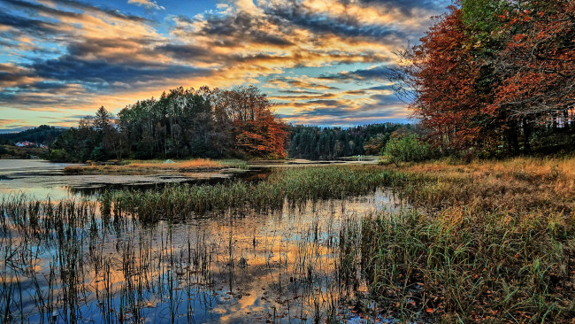 Обои картинки фото природа, реки, озера, река, лес