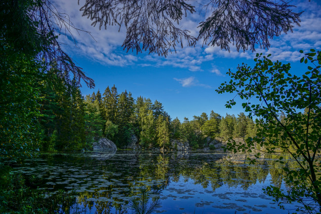 Обои картинки фото природа, реки, озера, река, лес