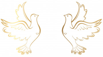 Картинка векторная+графика животные+ animals голуби