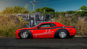 Картинка автомобили dodge challenger