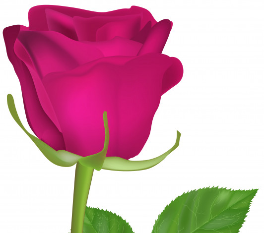 Обои картинки фото векторная графика, цветы , flowers, фон, лепестки, роза