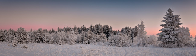 Обои картинки фото природа, зима, деревья, снег