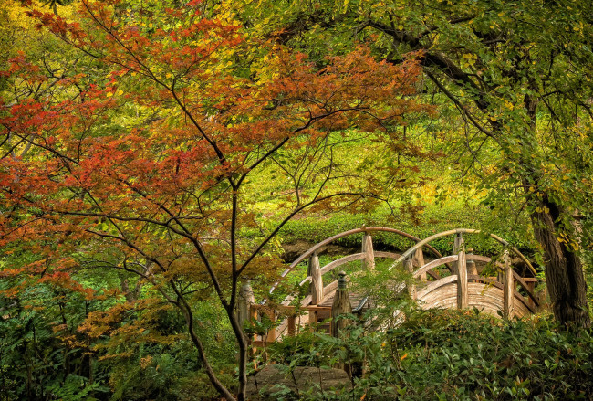 Обои картинки фото природа, реки, озера, простор