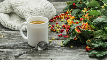 Картинка еда напитки +чай шарф листья ягоды чашка чай лимон