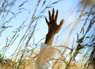 Картинка разное руки +ноги рука трава