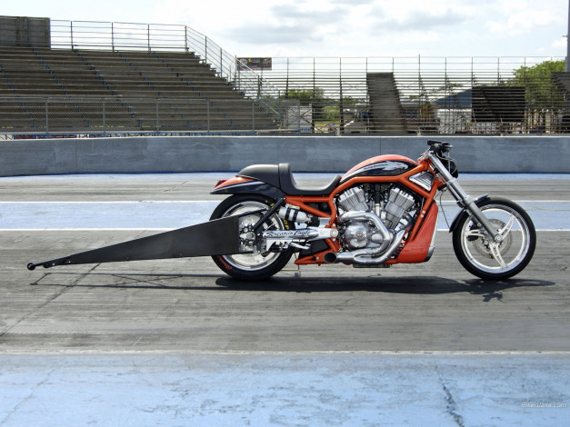 Обои картинки фото мотоциклы, harley, davidson