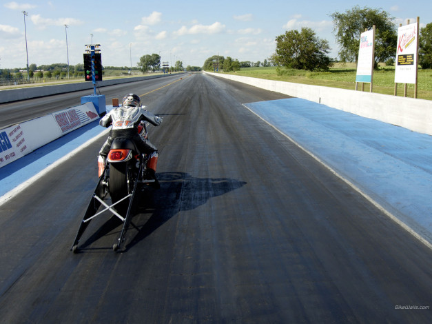 Обои картинки фото мотоциклы, harley, davidson