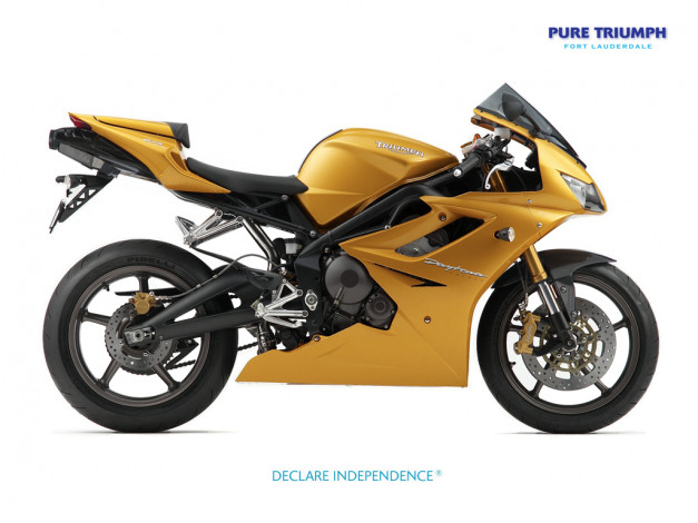 Обои картинки фото мотоциклы, triumph