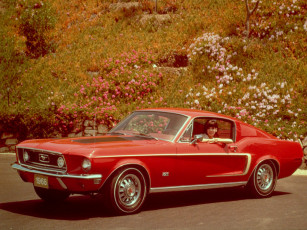 Картинка автомобили ford