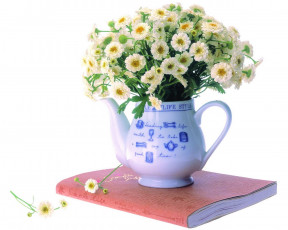 обоя цветы, ромашки