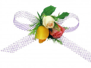 Картинка цветы розы